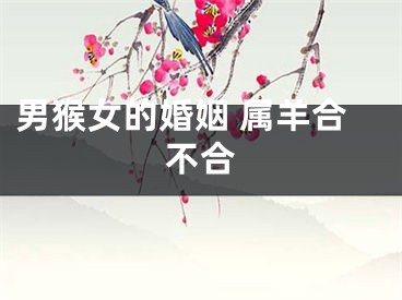 男猴女的婚姻 属羊合不合