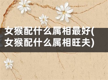 女猴配什么属相最好(女猴配什么属相旺夫)