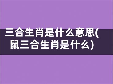 三合生肖是什么意思(鼠三合生肖是什么)