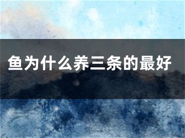 鱼为什么养三条的最好