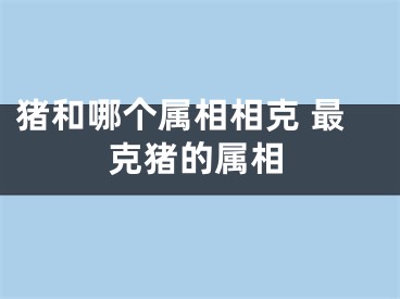 猪和哪个属相相克 最克猪的属相