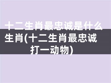 十二生肖最忠诚是什么生肖(十二生肖最忠诚打一动物)