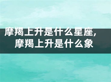 摩羯上升是什么星座,摩羯上升是什么象