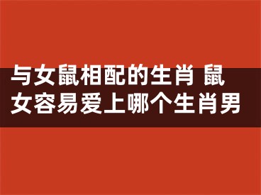 与女鼠相配的生肖 鼠女容易爱上哪个生肖男