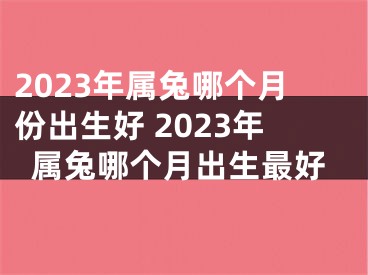 2023年属兔哪个月份出生好 2023年属兔哪个月出生最好