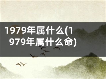 1979年属什么(1979年属什么命)