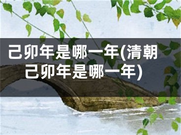 己卯年是哪一年(清朝己卯年是哪一年)