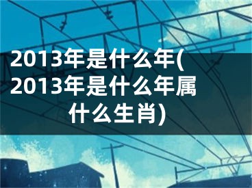 2013年是什么年(2013年是什么年属什么生肖)