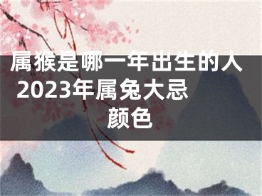 属猴是哪一年出生的人 2023年属兔大忌颜色