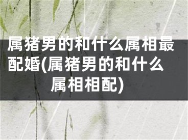 属猪男的和什么属相最配婚(属猪男的和什么属相相配)