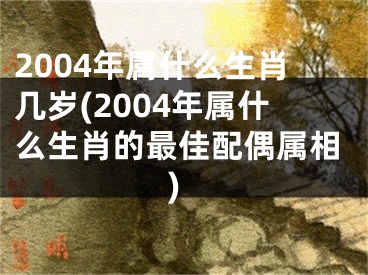 2004年属什么生肖几岁(2004年属什么生肖的最佳配偶属相)