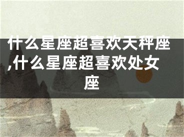 什么星座超喜欢天秤座,什么星座超喜欢处女座