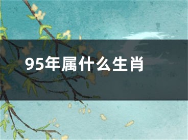 95年属什么生肖