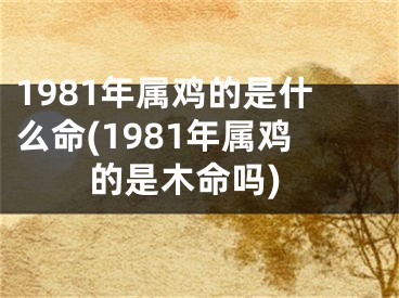 1981年属鸡的是什么命(1981年属鸡的是木命吗)