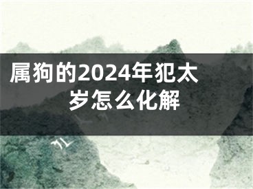 属狗的2024年犯太岁怎么化解
