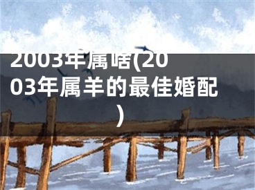 2003年属啥(2003年属羊的最佳婚配)