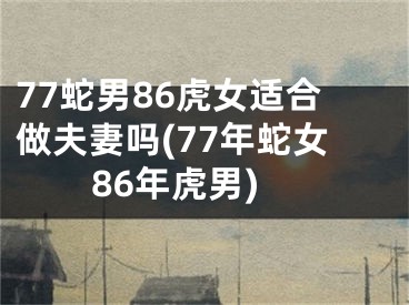 77蛇男86虎女适合做夫妻吗(77年蛇女86年虎男)