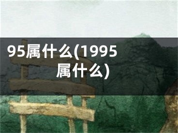 95属什么(1995属什么)