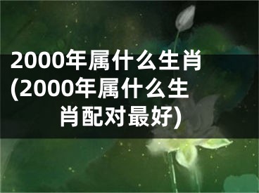 2000年属什么生肖(2000年属什么生肖配对最好)