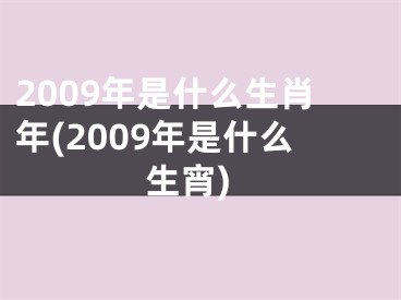 2009年是什么生肖年(2009年是什么生宵)