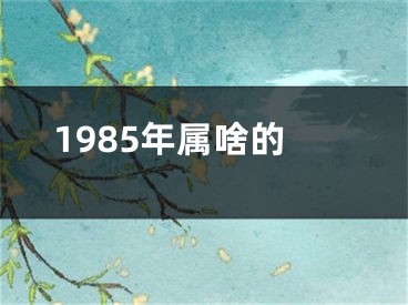 1985年属啥的