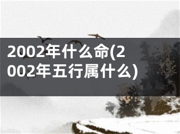 2002年什么命(2002年五行属什么)