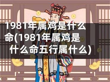 1981年属鸡是什么命(1981年属鸡是什么命五行属什么)