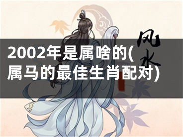 2002年是属啥的(属马的最佳生肖配对)