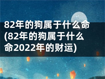 82年的狗属于什么命(82年的狗属于什么命2022年的财运)