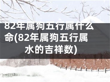 82年属狗五行属什么命(82年属狗五行属水的吉祥数)