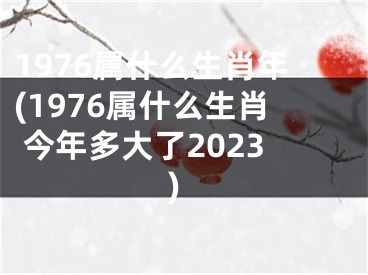 1976属什么生肖年(1976属什么生肖 今年多大了2023)