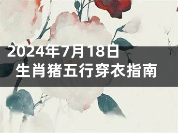 2024年7月18日生肖猪五行穿衣指南