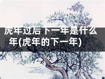 虎年过后下一年是什么年(虎年的下一年)