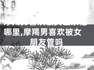 摩羯男喜欢被女生亲他哪里,摩羯男喜欢被女朋友管吗