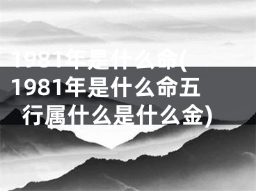 1981年是什么命(1981年是什么命五行属什么是什么金)