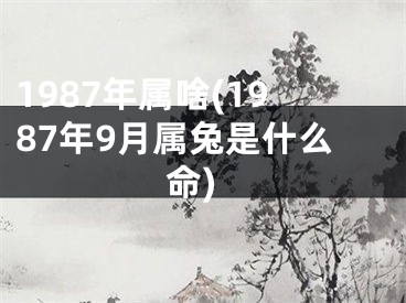 1987年属啥(1987年9月属兔是什么命)