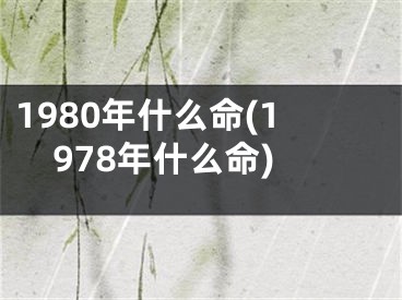 1980年什么命(1978年什么命)