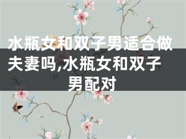 水瓶女和双子男适合做夫妻吗,水瓶女和双子男配对
