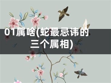 01属啥(蛇最忌讳的三个属相)