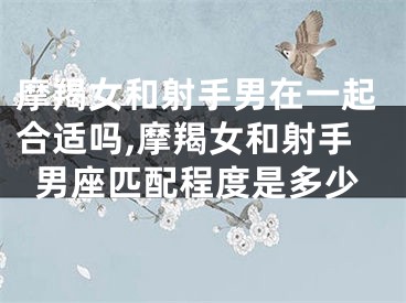 摩羯女和射手男在一起合适吗,摩羯女和射手男座匹配程度是多少