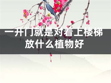 一开门就是对着上楼梯放什么植物好
