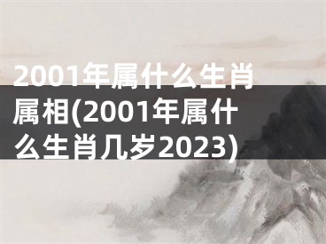 2001年属什么生肖属相(2001年属什么生肖几岁2023)