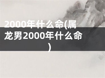 2000年什么命(属龙男2000年什么命)