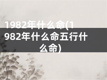 1982年什么命(1982年什么命五行什么命)