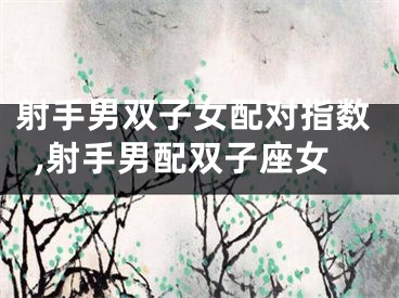 射手男双子女配对指数,射手男配双子座女
