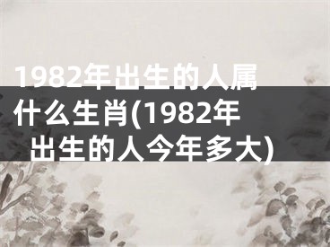 1982年出生的人属什么生肖(1982年出生的人今年多大)