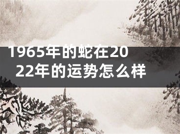 1965年的蛇在2022年的运势怎么样