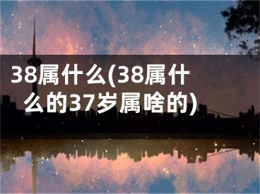 38属什么(38属什么的37岁属啥的)