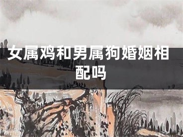 女属鸡和男属狗婚姻相配吗