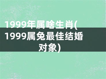 1999年属啥生肖(1999属兔最佳结婚对象)